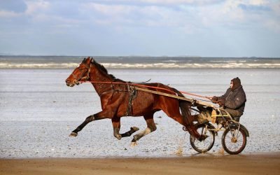 man riding horse chariot on beach